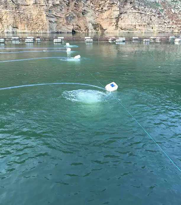 曝氣增氧風機對比